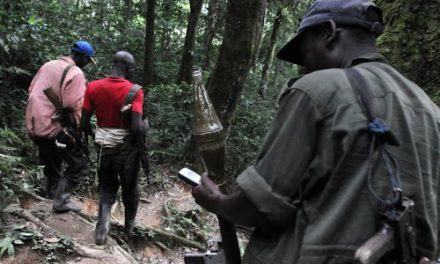 La Monusco annonce le rapatriement de plus de 30 rebelles FDLR au Rwanda