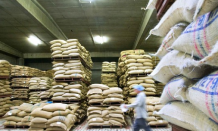 Le Rwanda met les bouchées doubles pour augmenter sa production de café