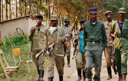 RWANDA : La Part des Rebelles, Film à Voir et à Revoir