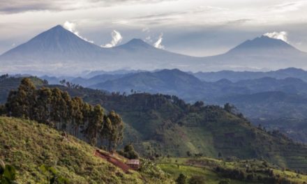 Le Rwanda, nouvelle destination en vogue ?