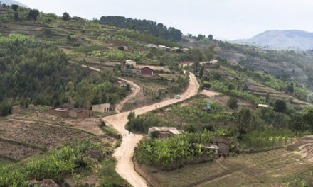 Le Rwanda avance à marche forcée pour réparer son environnement