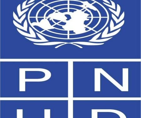 Le PNUD a lancé une plateforme-portail panafricaine pour les entrepreneurs