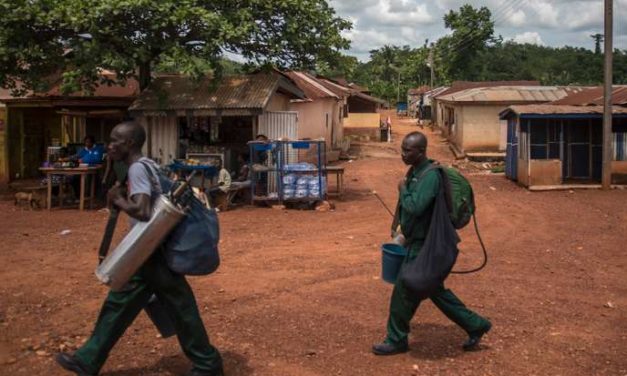 Afrique : la tragédie du paludisme en dix leçons