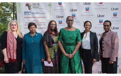 Une rencontre des 1ères Dames d »Afrique souhaite le partenariat avec le Secteur Privé