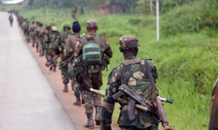 Non à la réethnisation des Grands Lacs : des mouvements rebelles rwandais crient et ont peur d’être dégommés