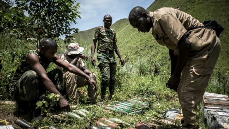 RDC: l’armée affirme poursuivre son offensive contre des rebelles hutus rwandais