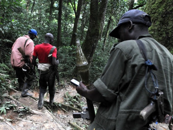 L’armée congolaise capture plus de 1000 rebelles rwandais à Kalehe