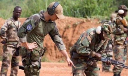 Centrafrique : le Rwanda et la Russie déploient leurs soldats pour traquer les rebelles