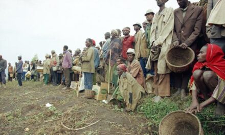 Massacre de Bisesero au Rwanda : « Ce n’est pas parce qu’il n’y a pas de condamnés qu’il n’y a pas de coupables »