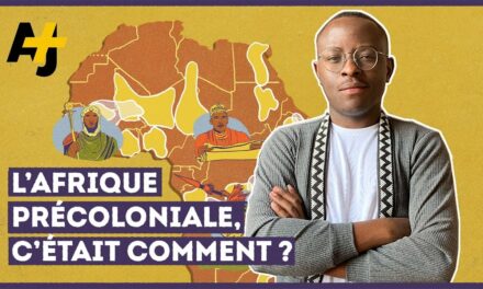 AFRIQUE : UN CONTINENT SANS HISTOIRE ?